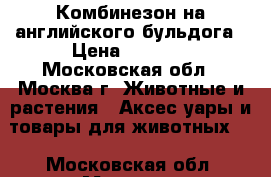 Комбинезон на английского бульдога › Цена ­ 1 500 - Московская обл., Москва г. Животные и растения » Аксесcуары и товары для животных   . Московская обл.,Москва г.